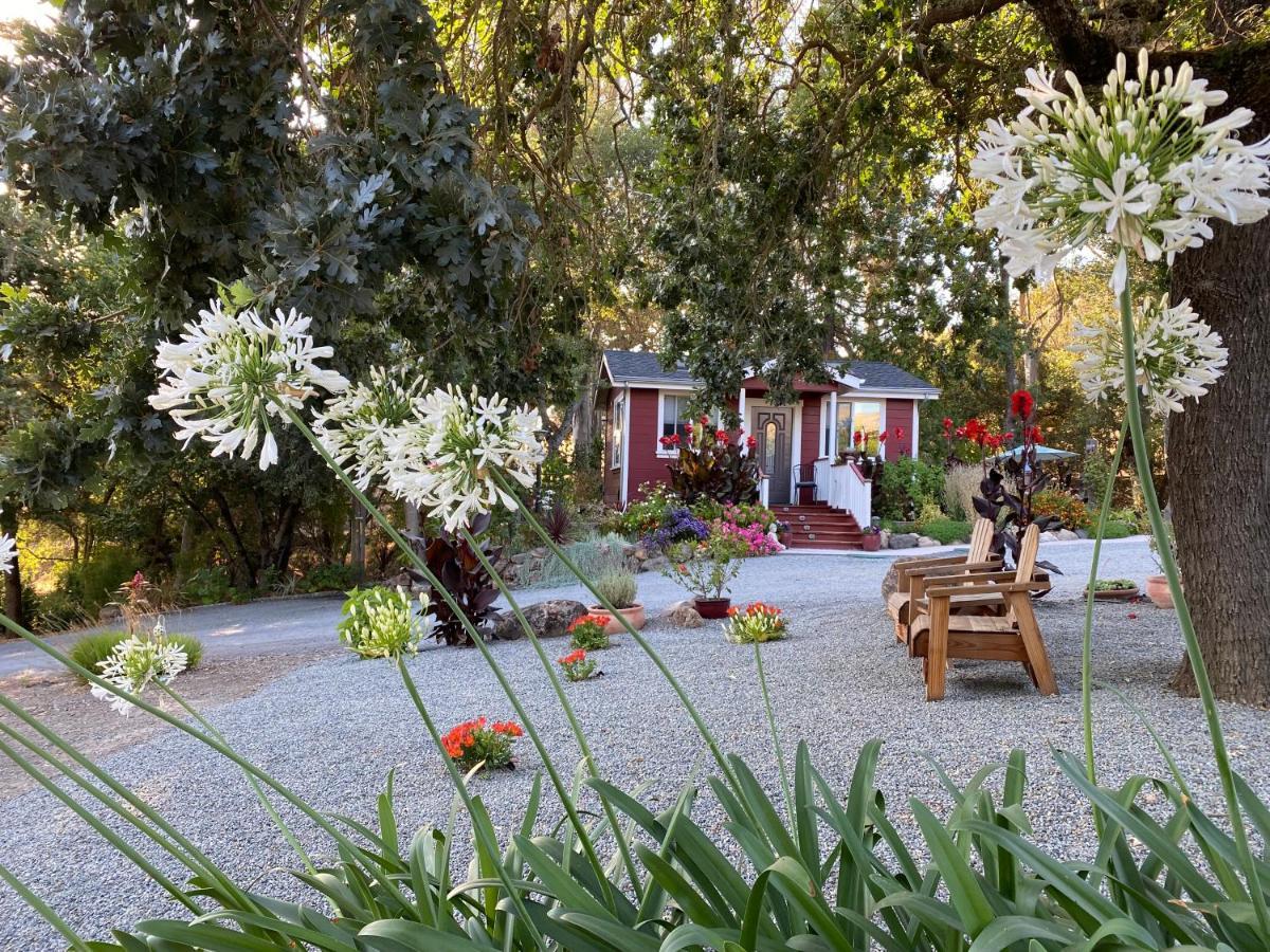 Amitabha Wine Country Cottage Santa Rosa Extérieur photo